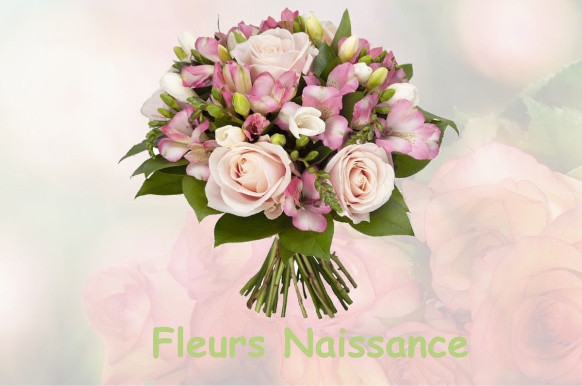 fleurs naissance LUSSAC-LES-EGLISES
