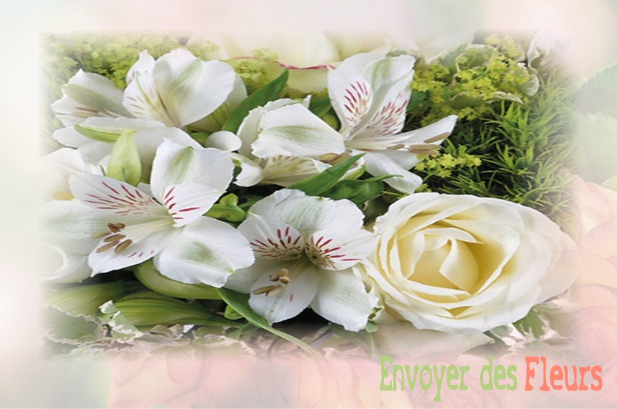 envoyer des fleurs à à LUSSAC-LES-EGLISES